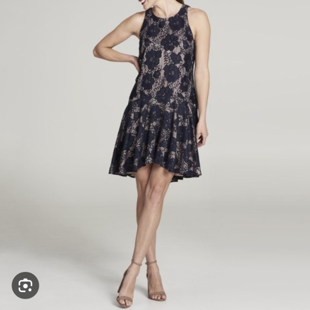 Eliza J Lace Blue Dress Drop Waist